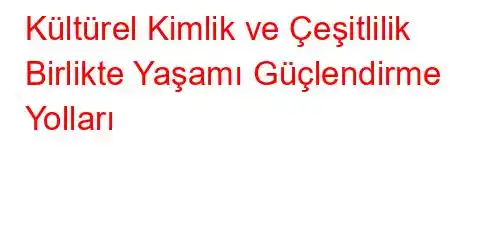 Kültürel Kimlik ve Çeşitlilik Birlikte Yaşamı Güçlendirme Yolları