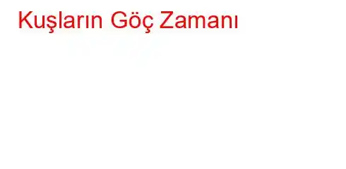 Kuşların Göç Zamanı