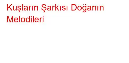 Kuşların Şarkısı Doğanın Melodileri