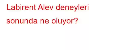 Labirent Alev deneyleri sonunda ne oluyor