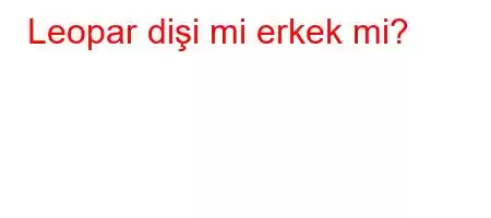 Leopar dişi mi erkek mi?