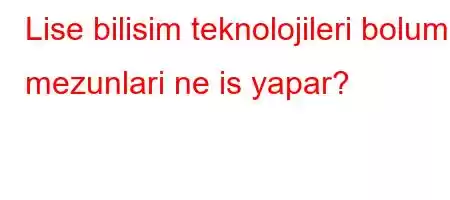 Lise bilisim teknolojileri bolumu mezunlari ne is yapar?