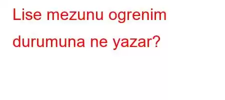 Lise mezunu ogrenim durumuna ne yazar?