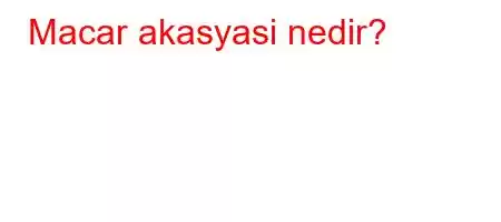 Macar akasyasi nedir