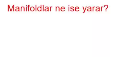 Manifoldlar ne ise yarar?