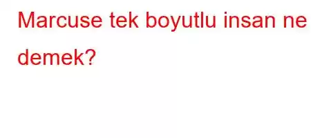 Marcuse tek boyutlu insan ne demek?