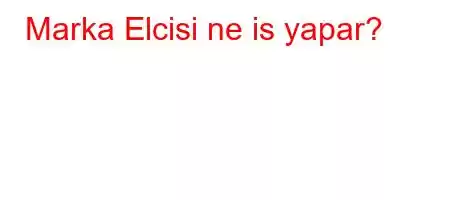 Marka Elcisi ne is yapar?