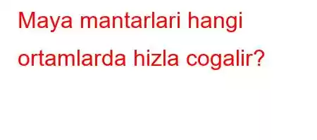 Maya mantarlari hangi ortamlarda hizla cogalir?