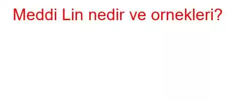 Meddi Lin nedir ve ornekleri?