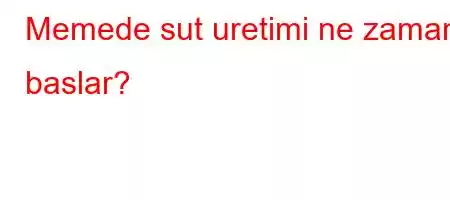 Memede sut uretimi ne zaman baslar?