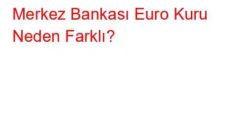 Merkez Bankası Euro Kuru Neden Farklı?