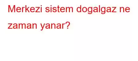 Merkezi sistem dogalgaz ne zaman yanar