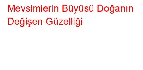 Mevsimlerin Büyüsü Doğanın Değişen Güzelliği