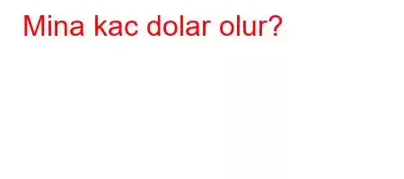 Mina kac dolar olur?