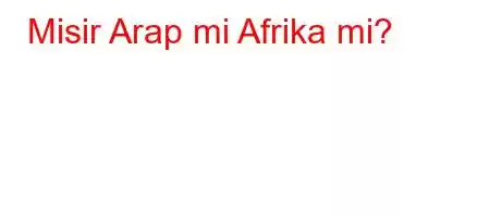 Misir Arap mi Afrika mi