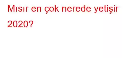 Mısır en çok nerede yetişir 2020?