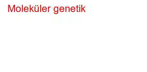 Moleküler genetik