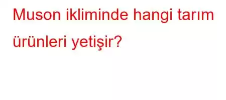 Muson ikliminde hangi tarım ürünleri yetişir?