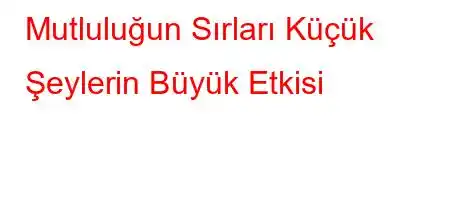 Mutluluğun Sırları Küçük Şeylerin Büyük Etkisi