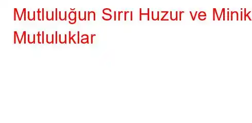 Mutluluğun Sırrı Huzur ve Minik Mutluluklar