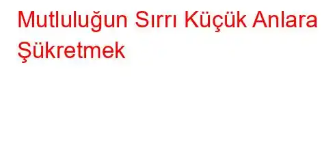 Mutluluğun Sırrı Küçük Anlara Şükretmek