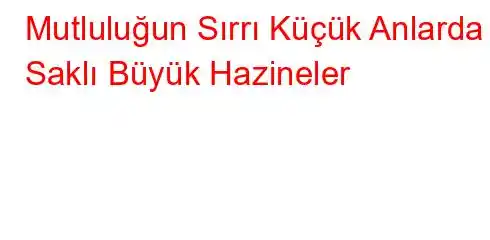 Mutluluğun Sırrı Küçük Anlarda Saklı Büyük Hazineler