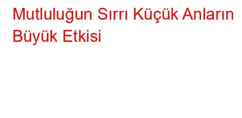 Mutluluğun Sırrı Küçük Anların Büyük Etkisi