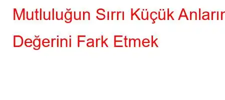 Mutluluğun Sırrı Küçük Anların Değerini Fark Etmek