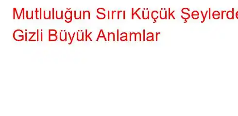 Mutluluğun Sırrı Küçük Şeylerde Gizli Büyük Anlamlar