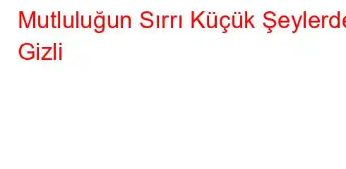 Mutluluğun Sırrı Küçük Şeylerde Gizli