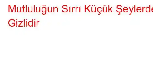 Mutluluğun Sırrı Küçük Şeylerde Gizlidir