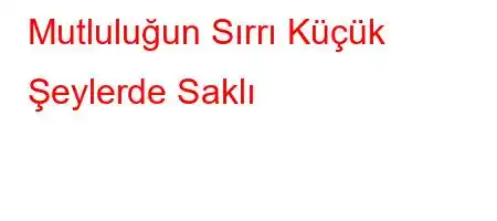 Mutluluğun Sırrı Küçük Şeylerde Saklı