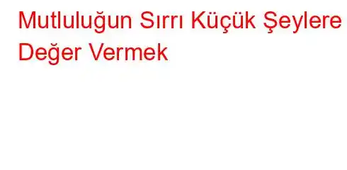 Mutluluğun Sırrı Küçük Şeylere Değer Vermek