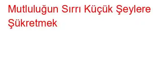 Mutluluğun Sırrı Küçük Şeylere Şükretmek