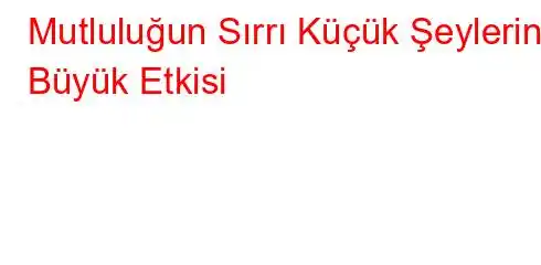 Mutluluğun Sırrı Küçük Şeylerin Büyük Etkisi