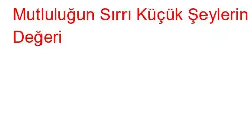 Mutluluğun Sırrı Küçük Şeylerin Değeri