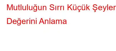 Mutluluğun Sırrı Küçük Şeylerin Değerini Anlama