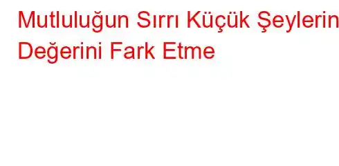 Mutluluğun Sırrı Küçük Şeylerin Değerini Fark Etme