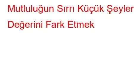 Mutluluğun Sırrı Küçük Şeylerin Değerini Fark Etmek