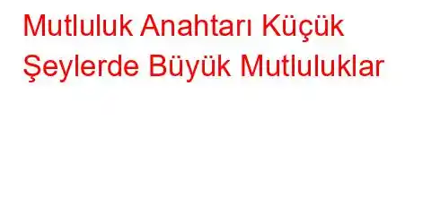 Mutluluk Anahtarı Küçük Şeylerde Büyük Mutluluklar