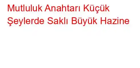 Mutluluk Anahtarı Küçük Şeylerde Saklı Büyük Hazine