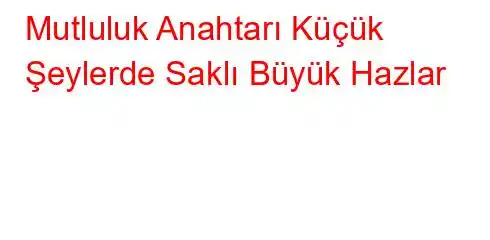 Mutluluk Anahtarı Küçük Şeylerde Saklı Büyük Hazlar