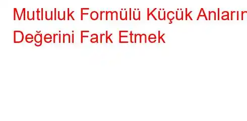 Mutluluk Formülü Küçük Anların Değerini Fark Etmek