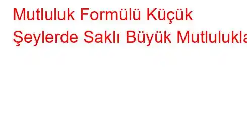 Mutluluk Formülü Küçük Şeylerde Saklı Büyük Mutluluklar