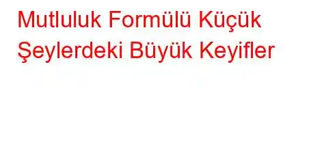 Mutluluk Formülü Küçük Şeylerdeki Büyük Keyifler