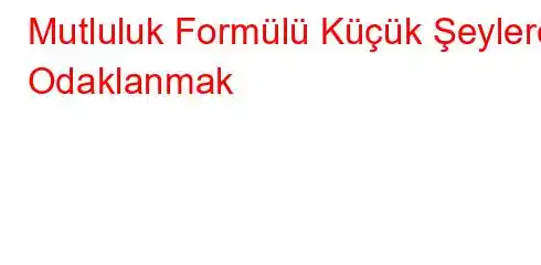 Mutluluk Formülü Küçük Şeylere Odaklanmak