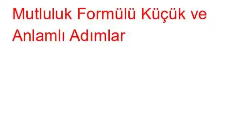 Mutluluk Formülü Küçük ve Anlamlı Adımlar