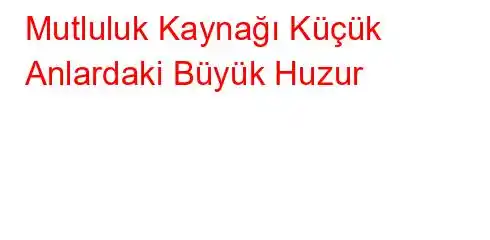 Mutluluk Kaynağı Küçük Anlardaki Büyük Huzur