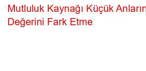 Mutluluk Kaynağı Küçük Anların Değerini Fark Etme