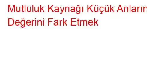 Mutluluk Kaynağı Küçük Anların Değerini Fark Etmek